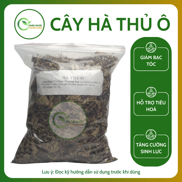 1kg CÂY HÀ THỦ Ô Loại 1 Hỗ Trợ Trẻ Hóa Da, Kích Thích Mọc Tóc | Dược liệu Thanh Loan