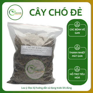 1kg DIỆP HÀ CHÂU (CÂY CHÓ ĐẺ) Loại 1 Tiểu Đường, Tiết Niệu, Hạ Men Gan | Dược liệu Thanh Loan