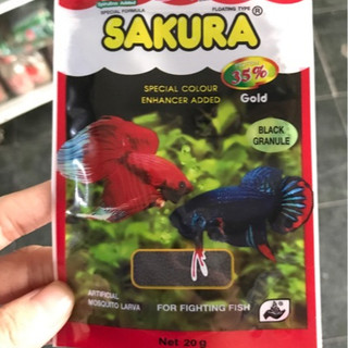 Cám SAKURA THAILAN cho cá betta