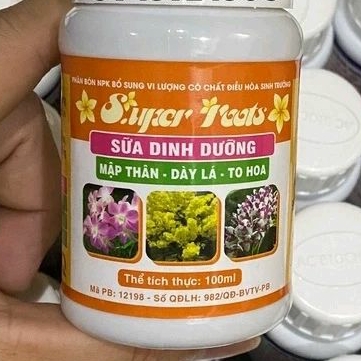 Sữa Dinh Dưỡng SUPER ROOTS 100ml