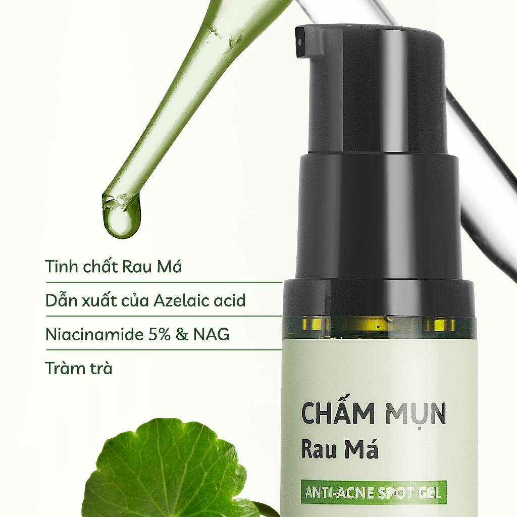 Chấm Mụn Rau Má Giảm Mụn Viêm Sưng Đỏ Mụn Cóc Mụn Bọc Mụn Trứng Cá Cỏ Mềm 10gr