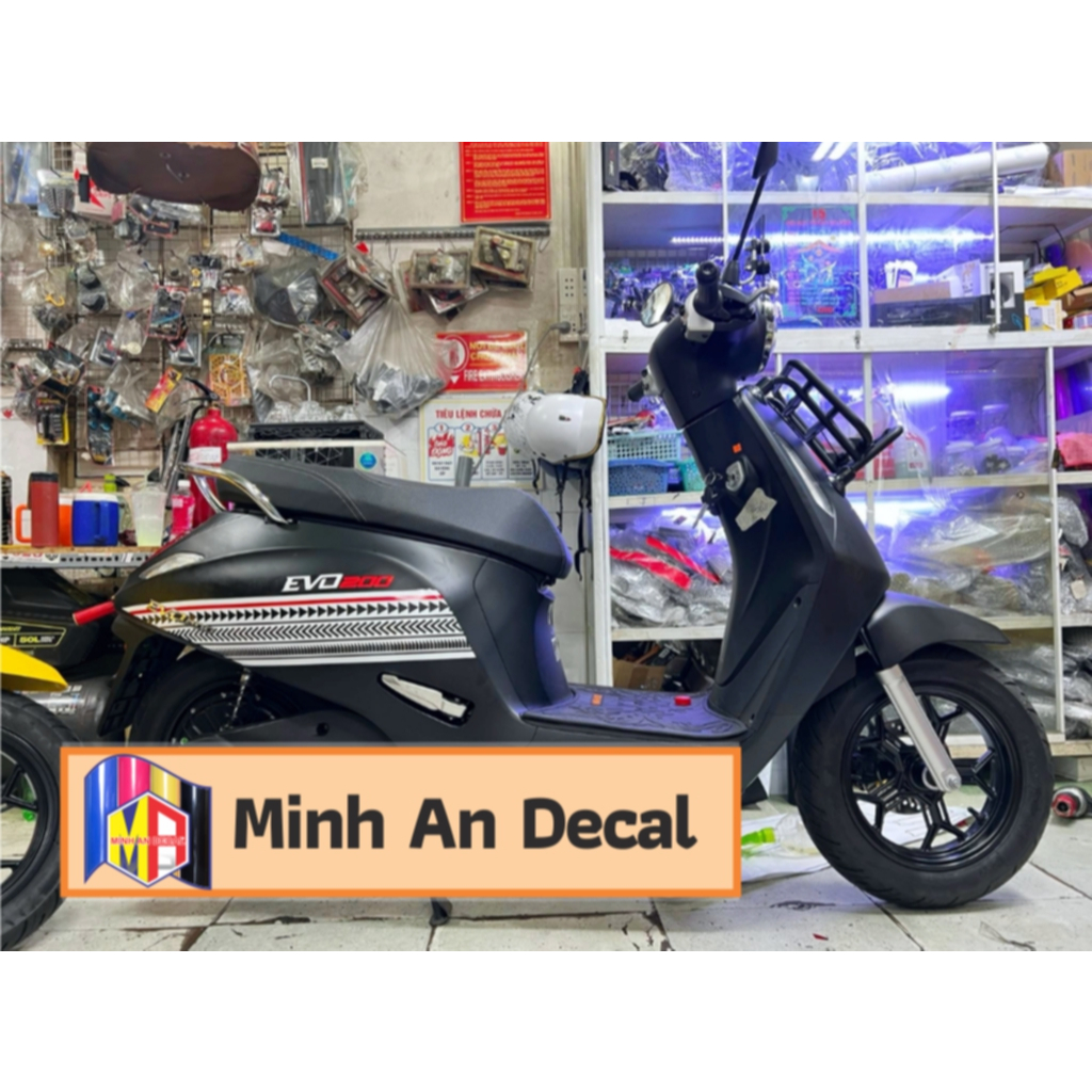 TEM EVO 200 TEM CHỈ KẾT HỢP NHIỀU HOẠ TIẾT (màu sắc có thể thay đổi)