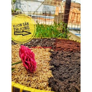 Gói 2kg Đất Chuyên Hồng Đã Phối Trộn Đất đỏ, Compost, Phân trùn, Perlite, Phân Dê, Phân Gà,...