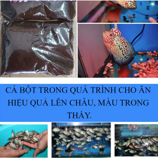 Thức Ăn Cá Top La Hán - Top kích châu cho cá bột - HÀNG CÔNG TY