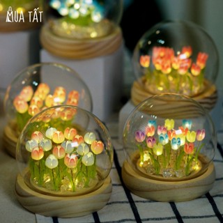 [Tự lắp-lắp sẵn] Đèn ngủ hoa Tulip hình cầu 16 bông Mua Tất (muatat.shop)