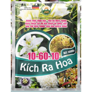 Kích Ra Hoa gói 500g tạo mầm kích hoa siêu tốt JVO67 NongNghiepVietNhat