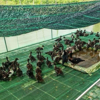 Lưới che nắng Thái Lan 70% - bền 7 năm