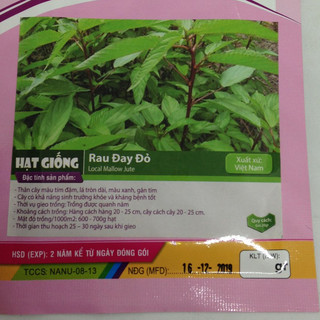 Gói 20g hạt giống rau đay đỏ