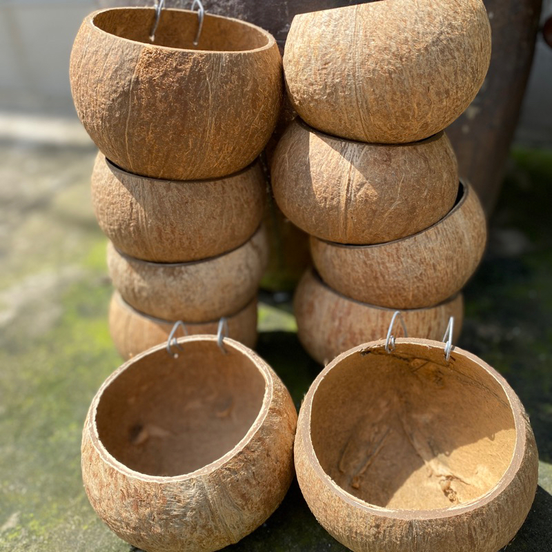 [ Size  Lớn ] Combo 10 Gáo Dừa Cho Gà Ăn, Gáo Dừa Để Nước Uống Cho Gia Cầm - Phụ Kiện Gà