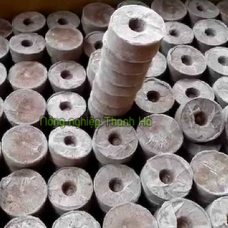 20 Viên nén xơ dừa ươm hạt - XD2