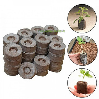 20 Viên nén xơ dừa ươm hạt - XD2