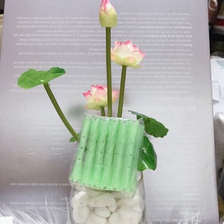 COMBO 24 TRỤC UỐN LẠNH