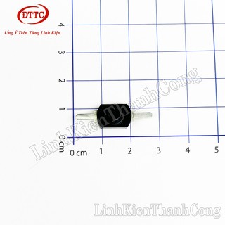 Bộ 10 Chiếc Công Tắc Đèn Pin 2 Chân Thẳng