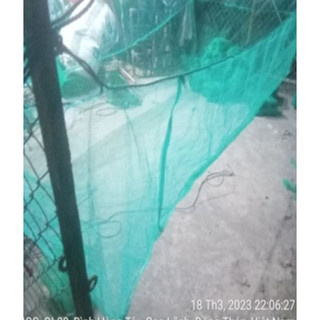 Vèo nuôi ốc,cá lưới xanh 2li (kích thước 2x5x1m)