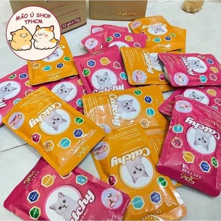 PATE CATCHY 5PLUS GÓI 70g-PATE CHO MÈO