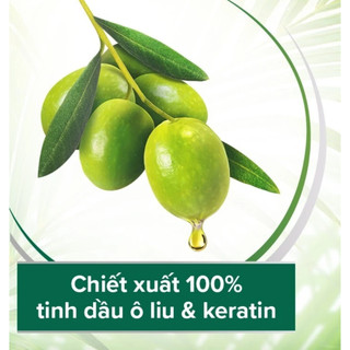 Dầu gội có xả dưỡng mượt tóc Palmolive 180ml