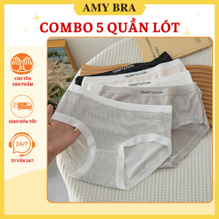 Combo 5 Quần Lót Nữ Cotton Gân Tăm Thoáng Mát - Set 5 Quần Chip Nữ Cạp Chữ Cá Tính AMYBRA LY08