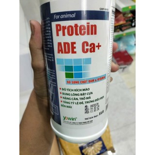  Protein ADE Ca+ loại xịn 1 lít tăng cường sưacs khỏe chiến kê. 
