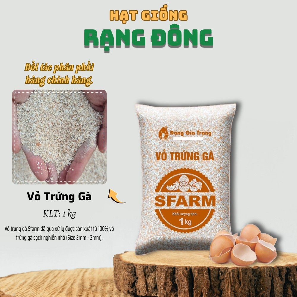 Vỏ Trứng Gà (Túi 1Kg) - Đã Xử Lý, Say Nhuyễn, Ngăn Chặn Ốc Sên Hại Cây, Cải Tạo Đất, Bổ Sung Canxi - Hạt Giống Rạng Đông