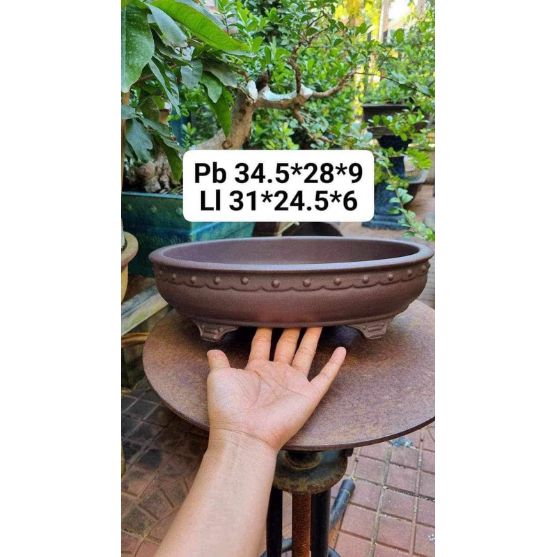 chậu tàu mini cao cấp