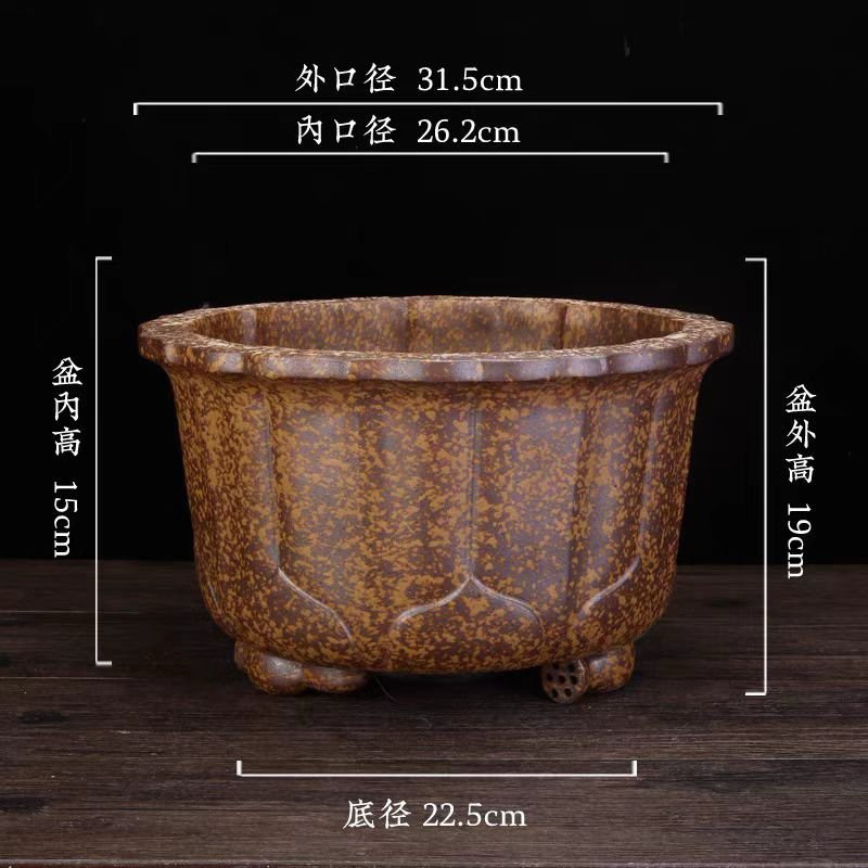 Chậu cánh sen men sắt gỉ cao cấp