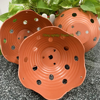 Giỏ trồng lan màu gốm phi 23cm - CN26
