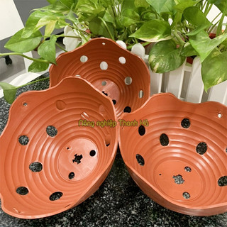 Giỏ trồng lan màu gốm phi 23cm - CN26