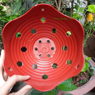 Giỏ trồng lan màu gốm phi 23cm - CN26