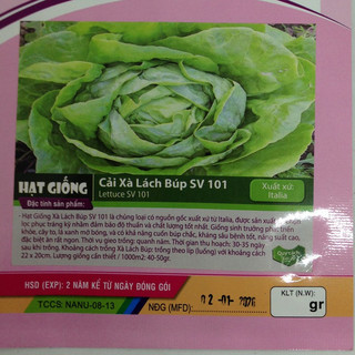 Gói 2g hạt giống xà lách búp