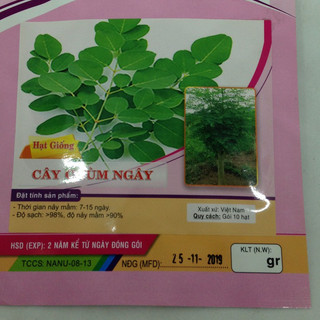 Gói 10 hạt giống Chùm Ngây