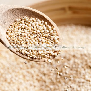 Hạt diêm mạch hữu cơ 100g (Quinoa trắng dành cho người ăn kiêng, làm sữa hạt dinh dưỡng) - Chợ Thảo Dược Việt