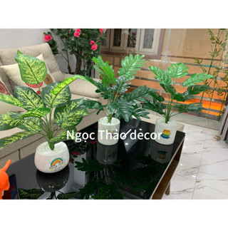 cây để bàn, cây lá rùa, cây trầu bà 40cm giả,cây hoa giả decor phòng, trang trí