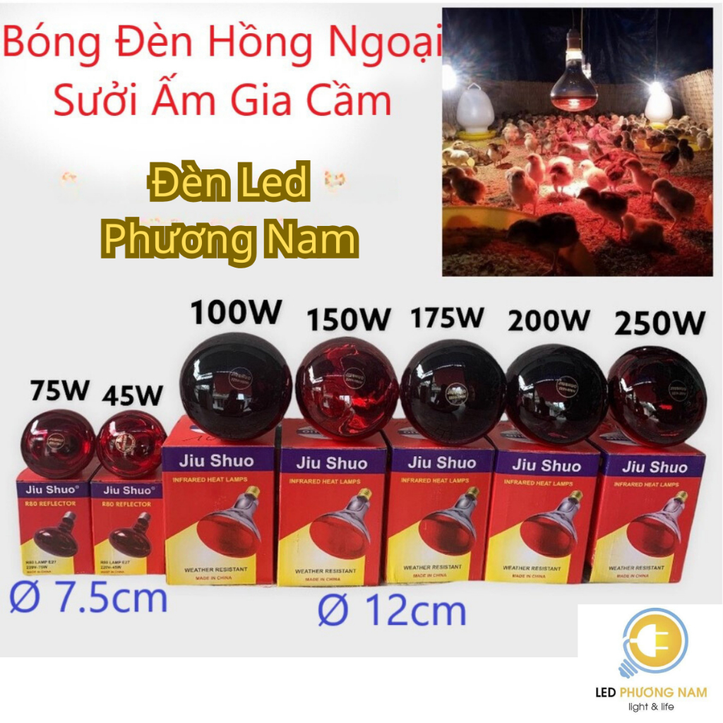 [COMBO ]  Bóng Đèn Hồng Ngoại Úm, Sưởi Gia Súc Gia Cầm