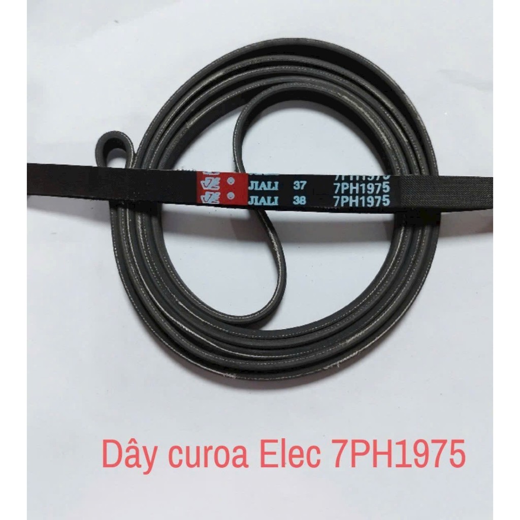Dây curoa máy sấy Electrolux 7PH 1975
