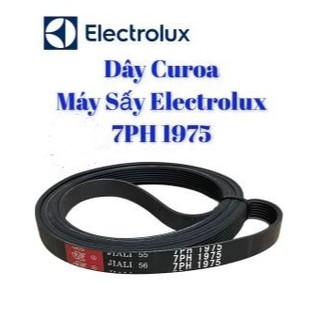 Dây curoa máy sấy Electrolux 7PH 1975