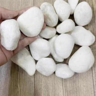 [ Nhiều màu - Nhiều size ] Đá sỏi trang trí sân vườn , hồ cá ( chọn màu )