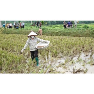 Chế phẩm vi sinh SUMITRI 1kg