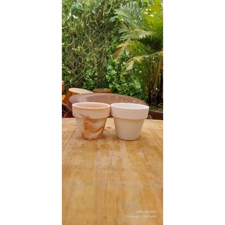 Chậu đất nung - chậu ly gờ miệng 9, cao 8