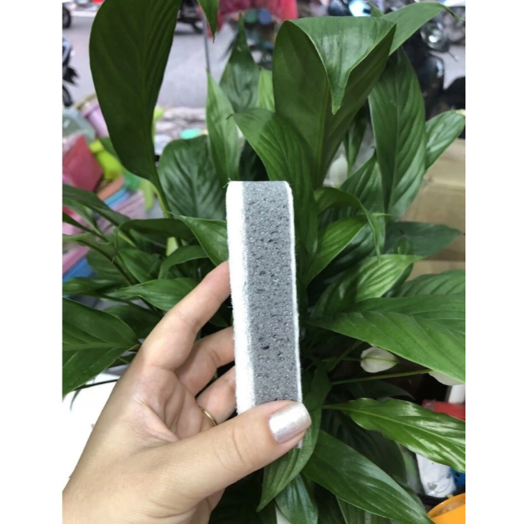 Miếng rửa chén bát Ikea Svampig chính hãng