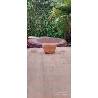 Chậu đất nung - chậu ly thau (kích thước trên ảnh)