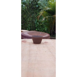 Chậu đất nung - chậu ly thau (kích thước trên ảnh)