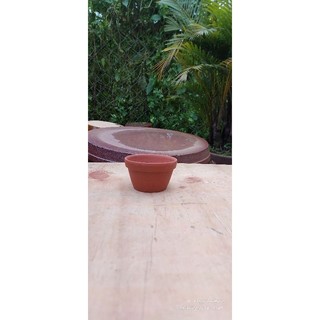 Chậu đất nung - chậu ly thau (kích thước trên ảnh)