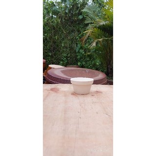 Chậu đất nung - chậu ly thau (kích thước trên ảnh)