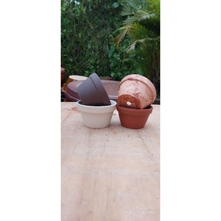Chậu đất nung - chậu ly thau (kích thước trên ảnh)