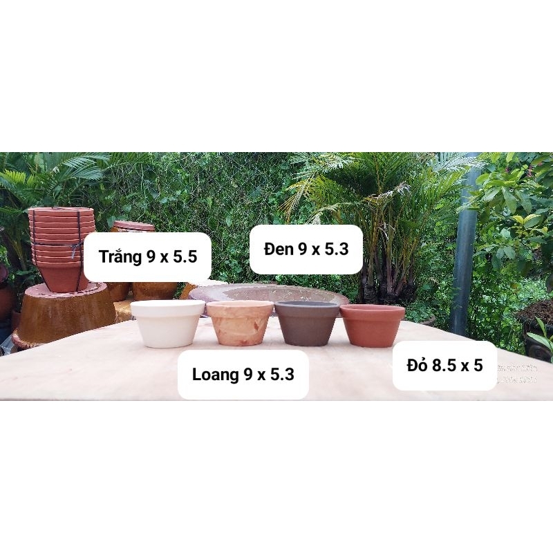 Chậu đất nung - chậu ly thau (kích thước trên ảnh)