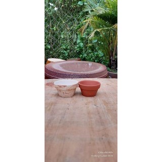 Chậu đất nung - chậu ly thau miệng 7, cao 4