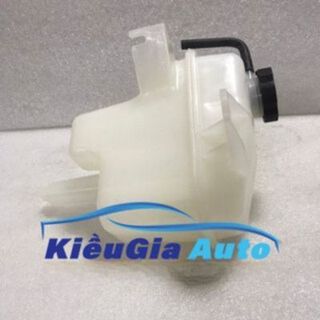 BÌNH NƯỚC PHỤ FORD ESCAPE