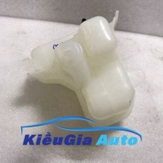 BÌNH NƯỚC PHỤ FORD ESCAPE