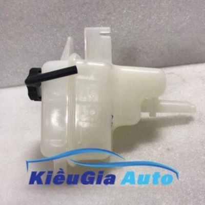BÌNH NƯỚC PHỤ FORD ESCAPE