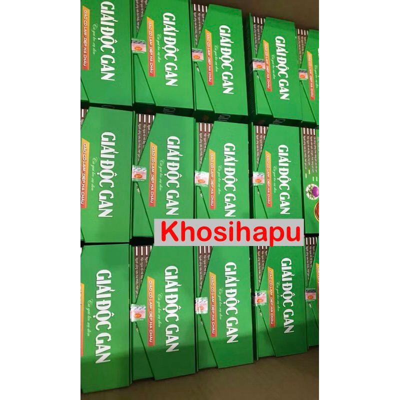 Viên uống Giải độc gan thành phần thảo dược hỗ trợ bảo vệ gan mát gan giải độc tốt cho người hay rượu bia mẩn ngứa 60v